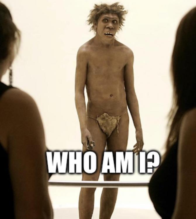 Who Am I? Meme.jpg