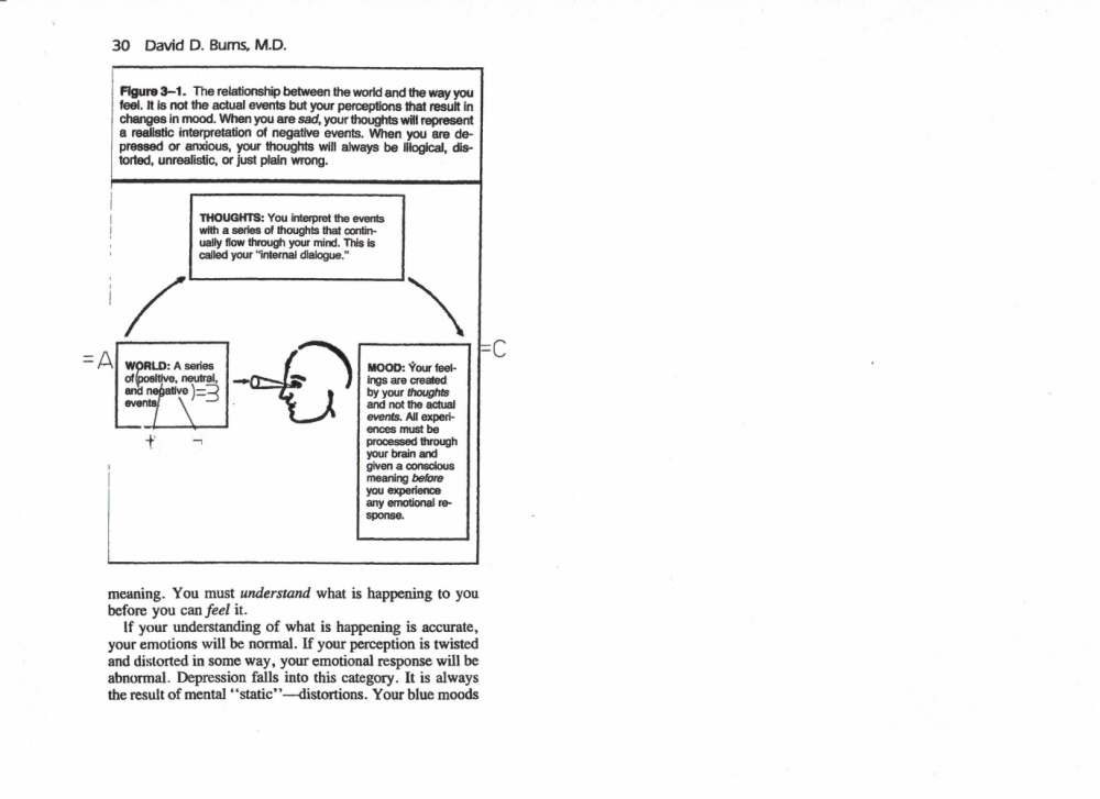 Burns 1999, p. 30.png
