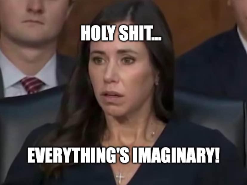 Holy Shit... Everything's Imaginary! Katie.jpg