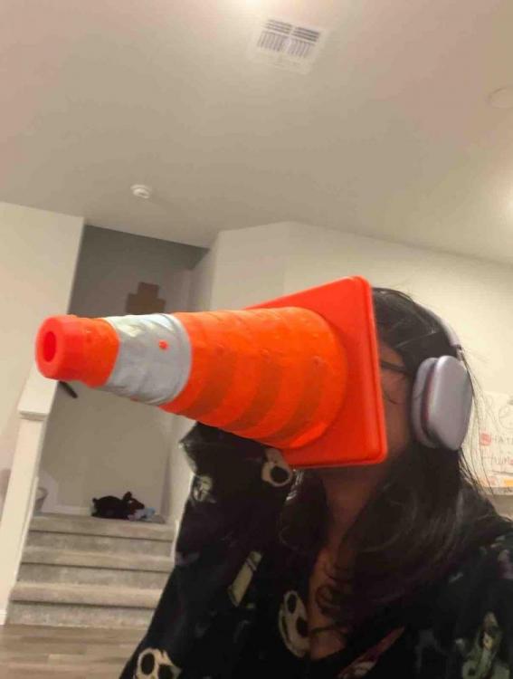 Cone Awakening.jpg